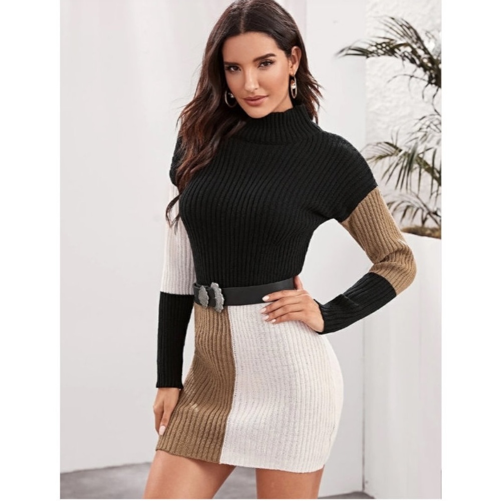 Colorblock Ribbed Sweater Mini Dress - Picture 3 of 6